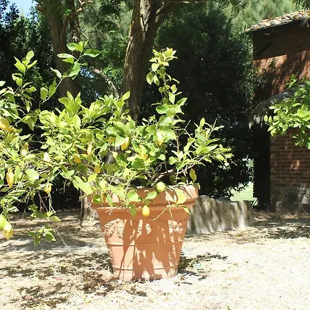 Casa Burraia Villa